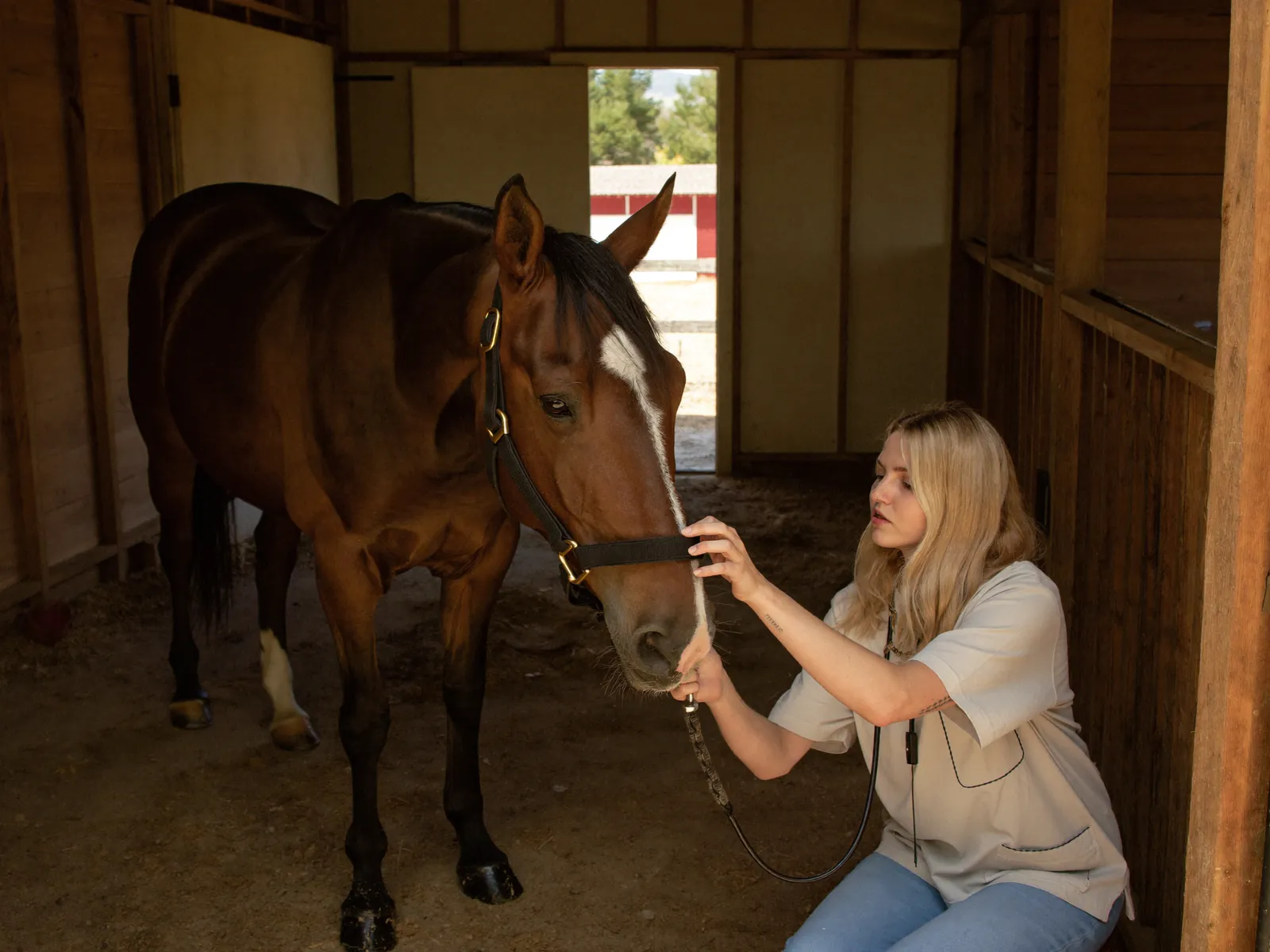 A woman checking over a bay horse in a timber stable