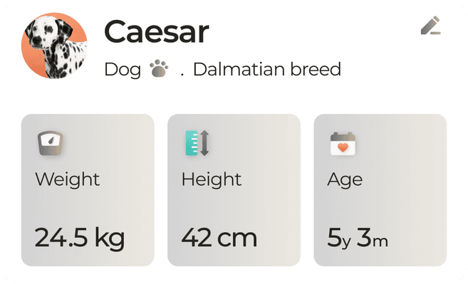 Caesar’s profile: 5.5 kg, 42 cm, 5 years 3 months